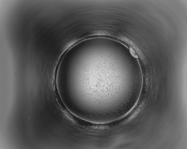 X0000087691129200705111315