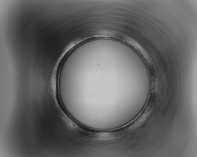 X0000087691130200705111315