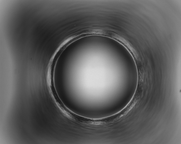 X0000087691131200705111315