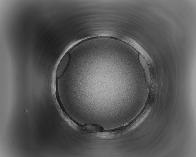 X0000087691132200705111315