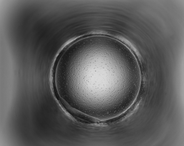 X0000087691133200705111315