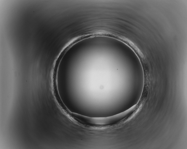 X0000087691134200705111315