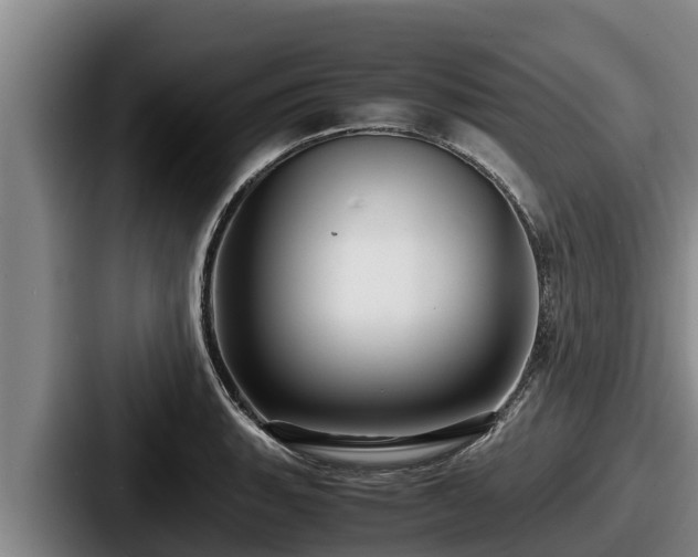 X0000087691135200705111315