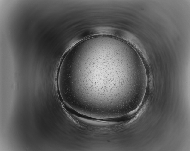 X0000087691137200705111315