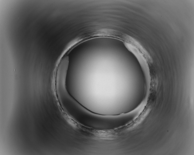 X0000087691138200705111315