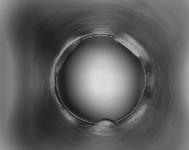 X0000087691140200705111315