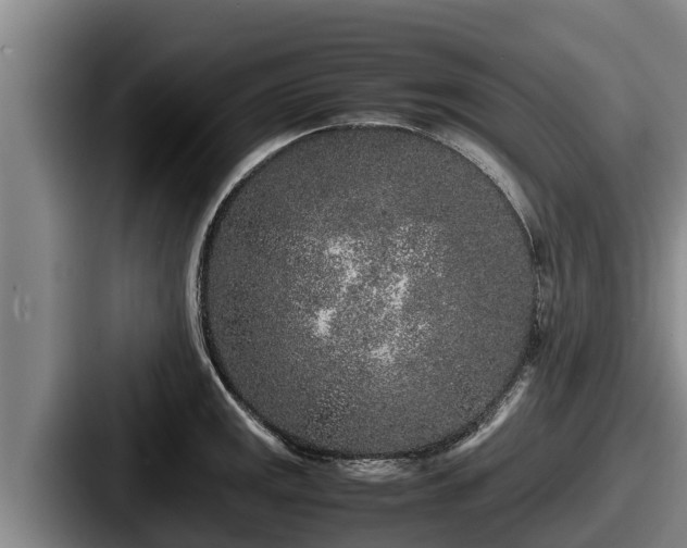 X0000087691141200705111315