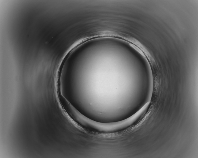 X0000087691142200705111315