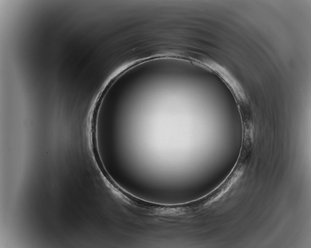 X0000087691143200705111315