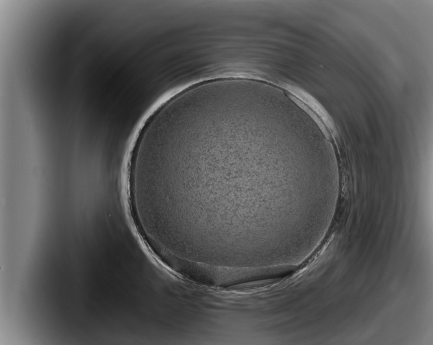 X0000087691144200705111315