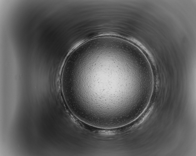 X0000087691145200705111315