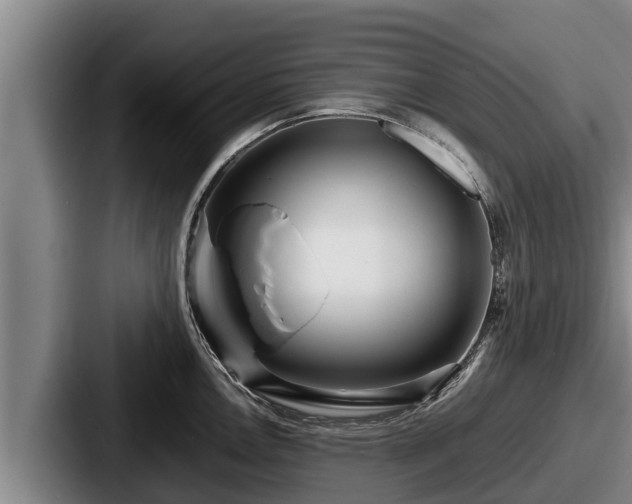 X0000087691146200705111315