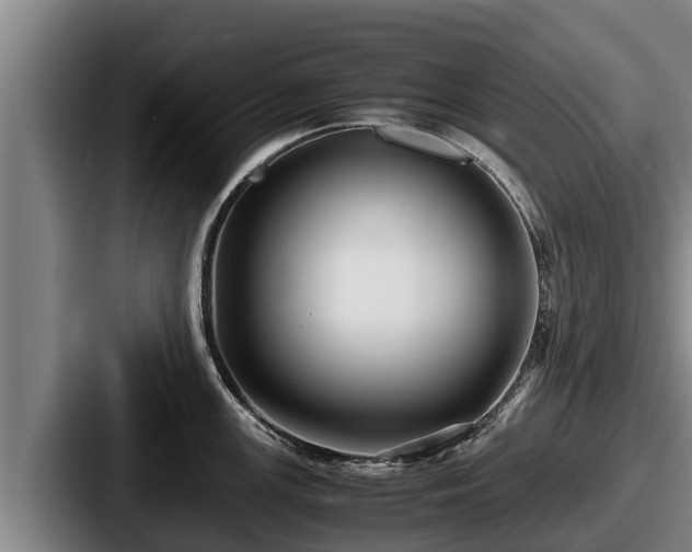 X0000087691147200705111315