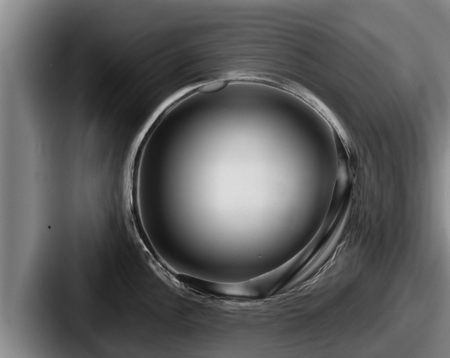 X0000087691148200705111315