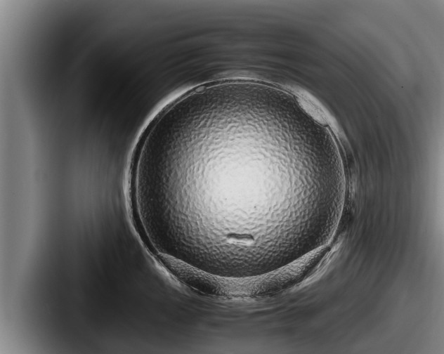 X0000087691149200705111315