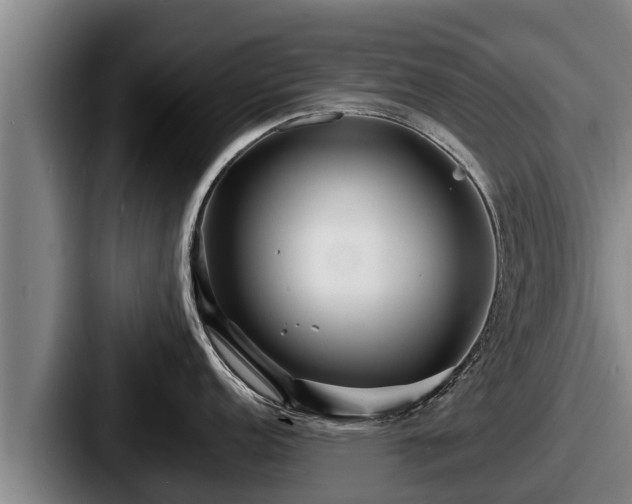 X0000087691152200705111315