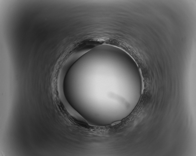 X0000087691153200705111315