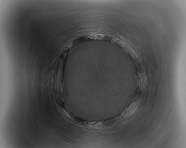 X0000087691154200705111315