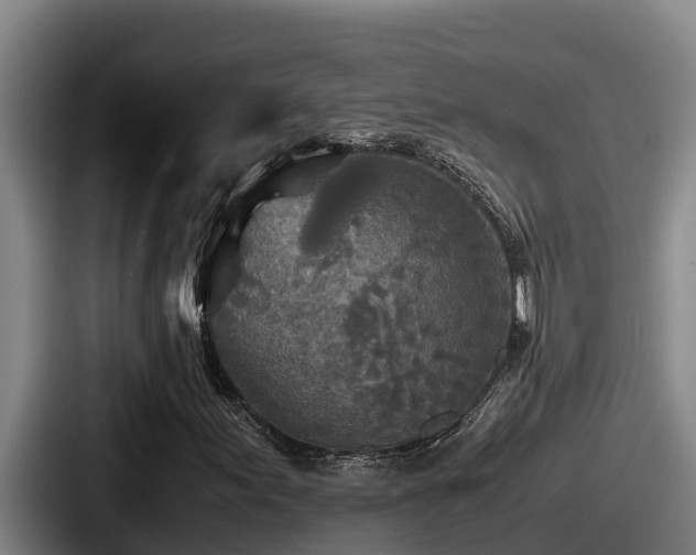 X0000087691155200705111315