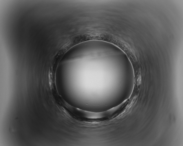 X0000087691156200705111315