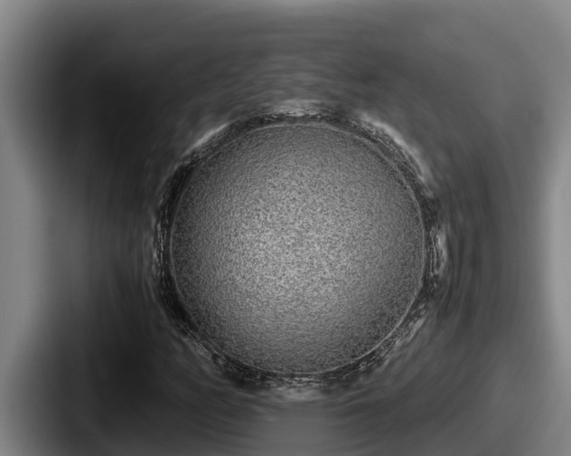 X0000087691158200705111315