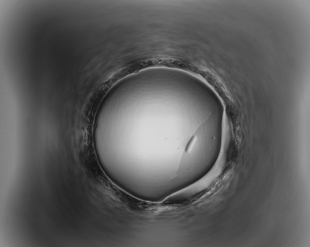 X0000087691159200705111315