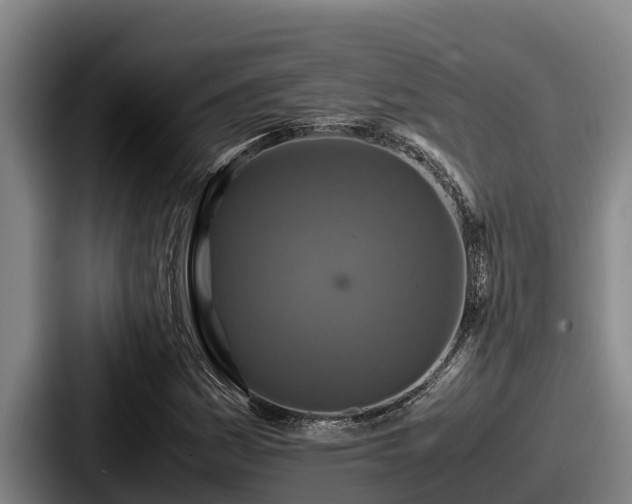 X0000087691161200705111314