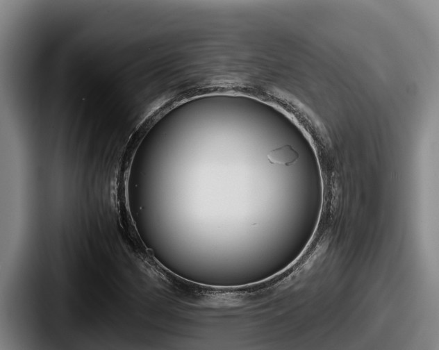 X0000087691162200705111314