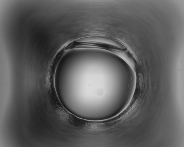 X0000087691163200705111314