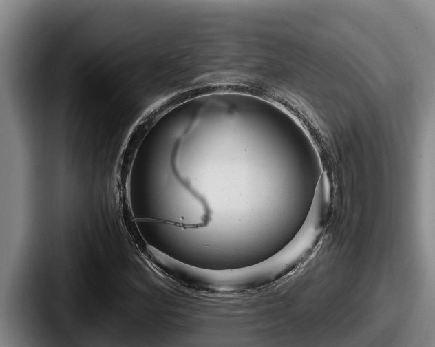 X0000087691164200705111314