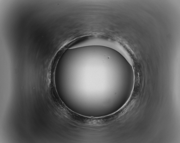 X0000087691165200705111314