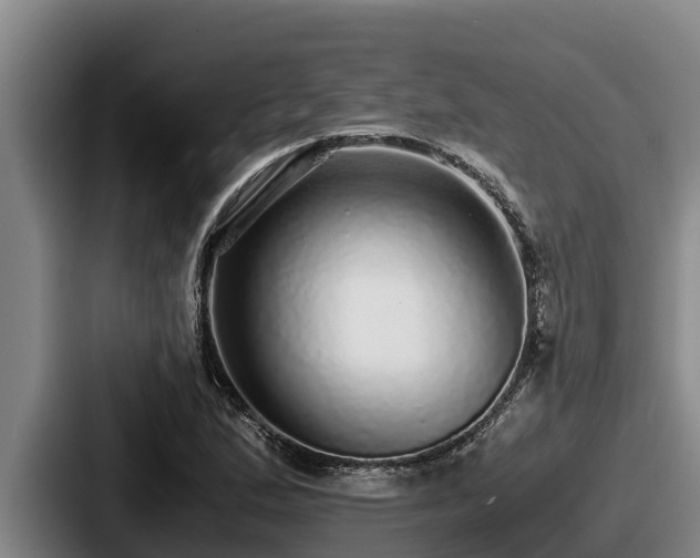 X0000087691167200705111314
