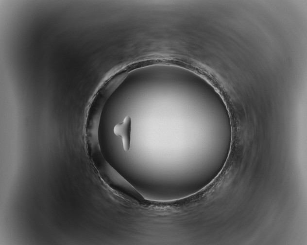 X0000087691168200705111314