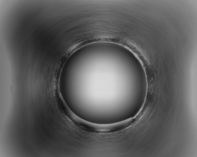 X0000087691169200705111314
