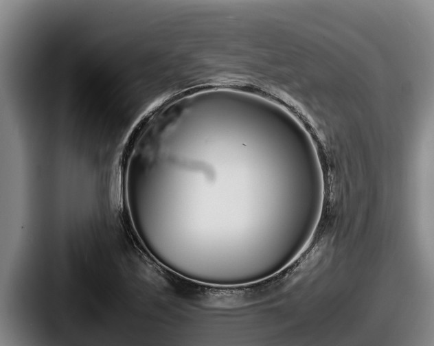 X0000087691171200705111314
