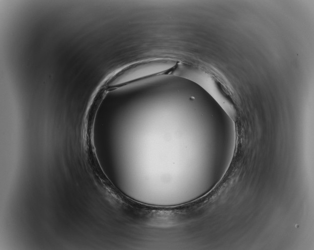 X0000087691172200705111314
