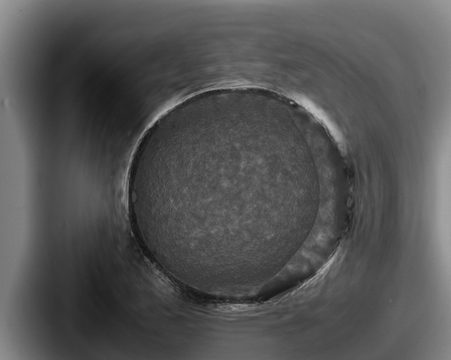 X0000087691173200705111314