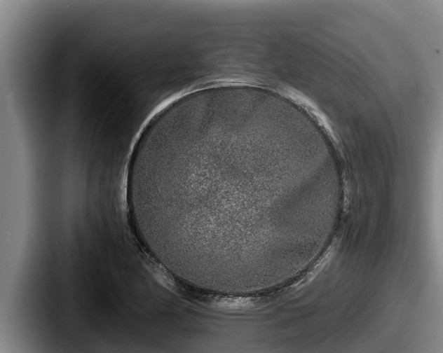 X0000087691174200705111314