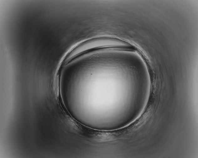 X0000087691175200705111314