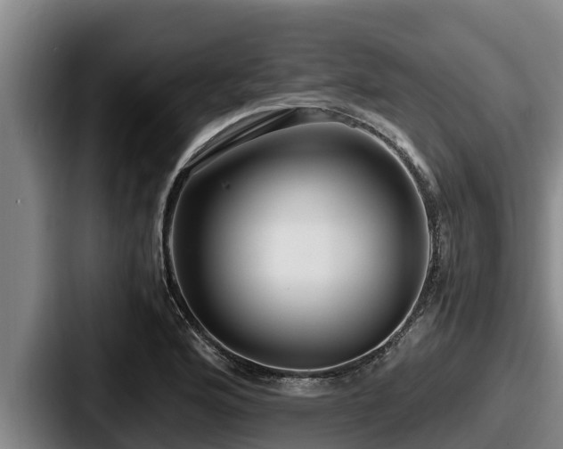 X0000087691176200705111314