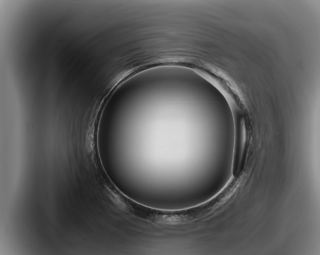 X0000087691177200705111314