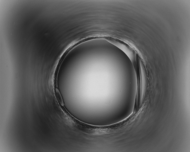 X0000087691181200705111314