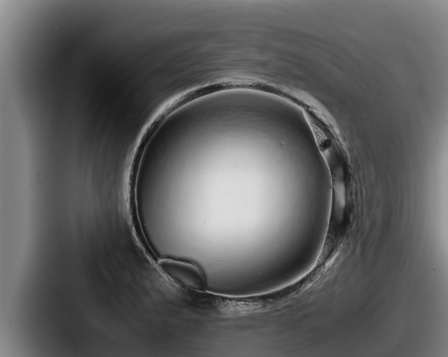 X0000087691183200705111314