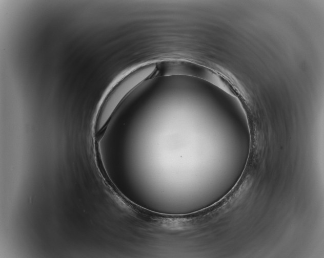 X0000087691184200705111314