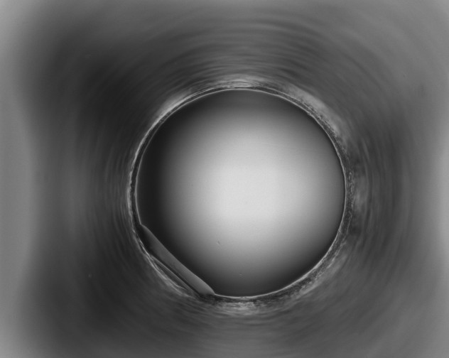 X0000087691186200705111314