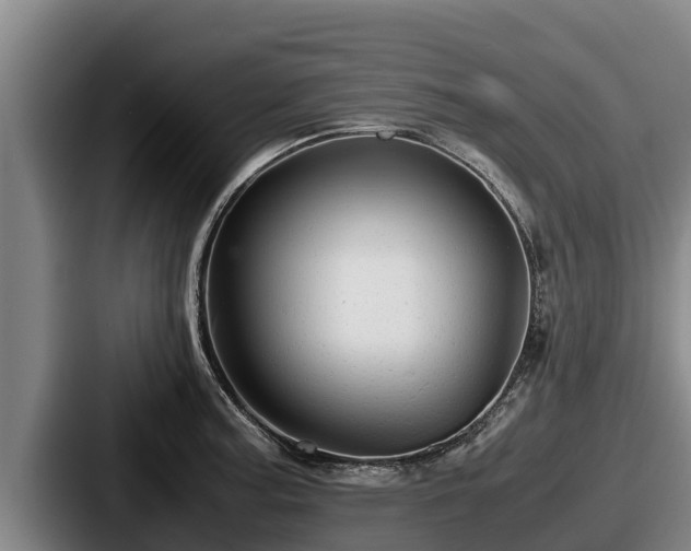 X0000087691187200705111314