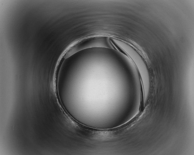 X0000087691188200705111314