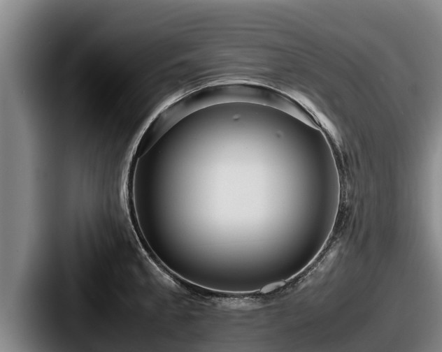 X0000087691189200705111314