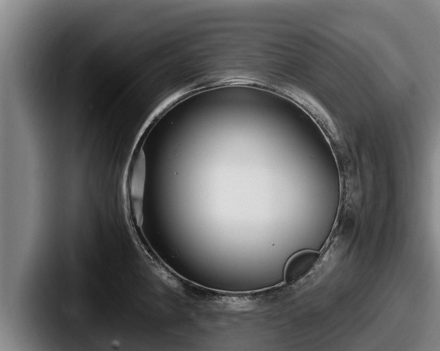 X0000087691190200705111314