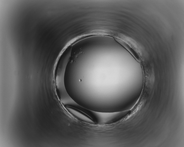 X0000087691192200705111314